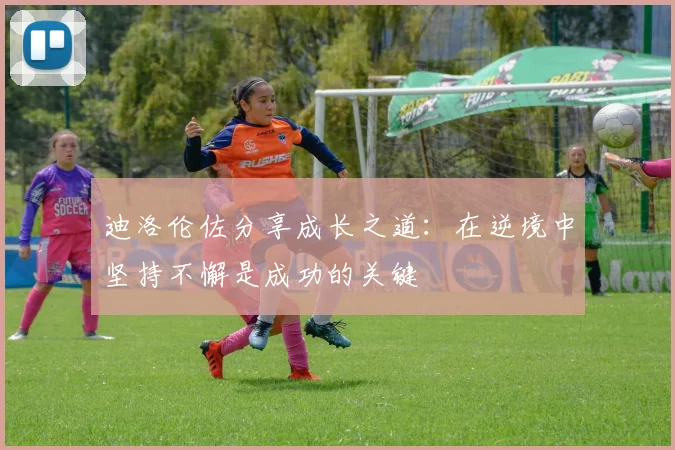 迪洛伦佐分享成长之道：在逆境中坚持不懈是成功的关键