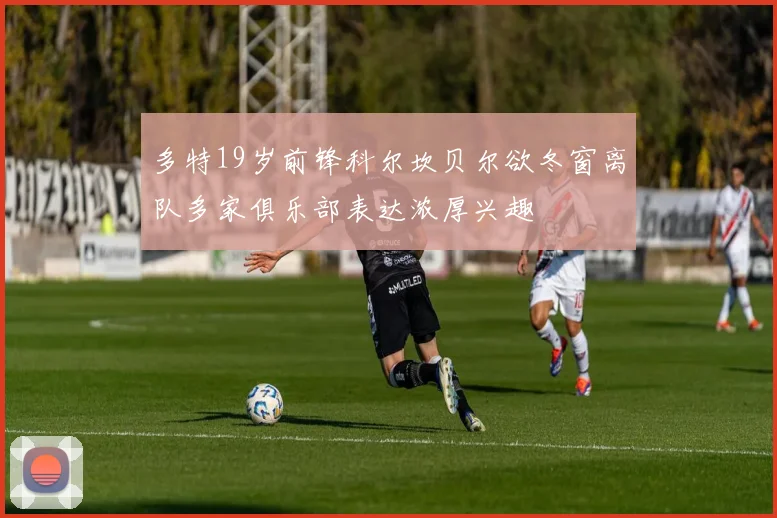 多特19岁前锋科尔坎贝尔欲冬窗离队多家俱乐部表达浓厚兴趣