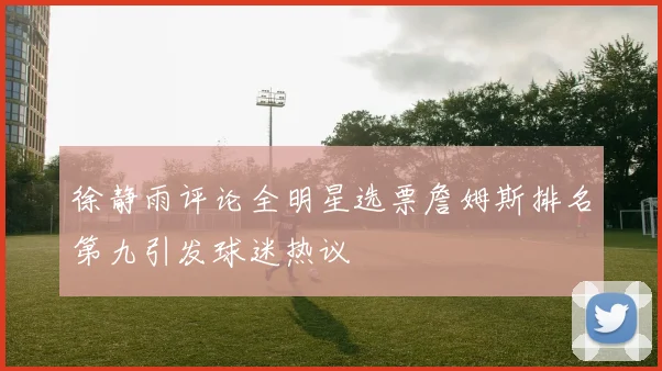 徐静雨评论全明星选票詹姆斯排名第九引发球迷热议