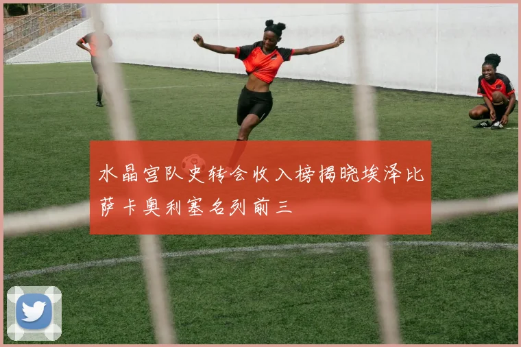 水晶宫队史转会收入榜揭晓埃泽比萨卡奥利塞名列前三