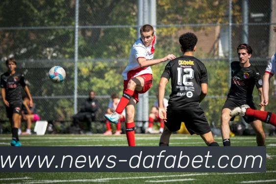 大发彩票平台生态图