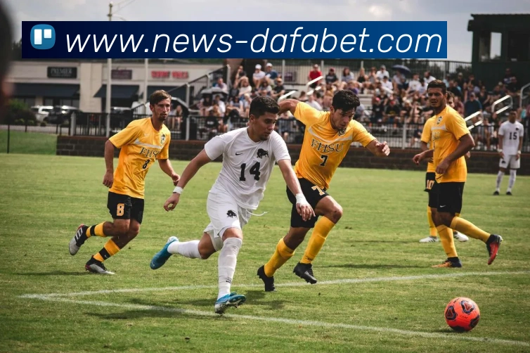 大发彩票全站App